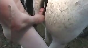 vid,beastiality