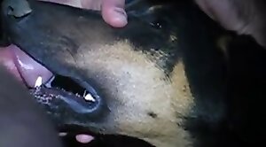 sex-movie,dog-xxx