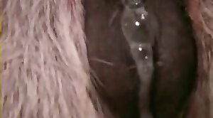 closeup,free-zoo